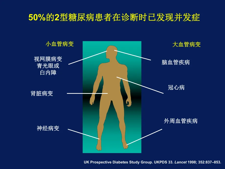 640 (38).webp
