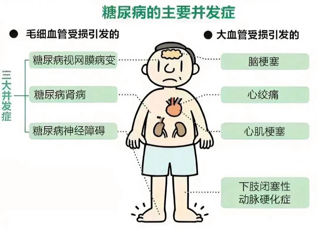 640 (34).webp